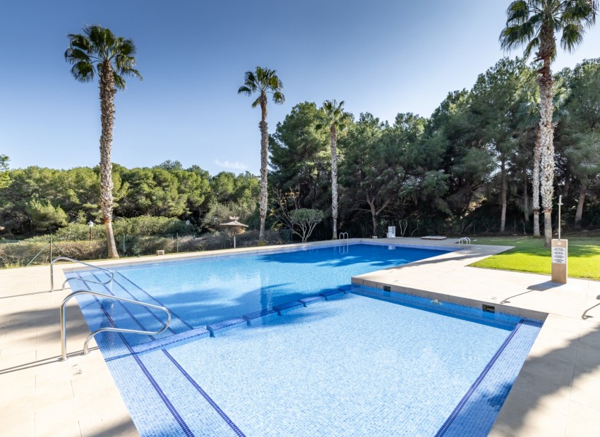 Venta - Apartamento / piso -
