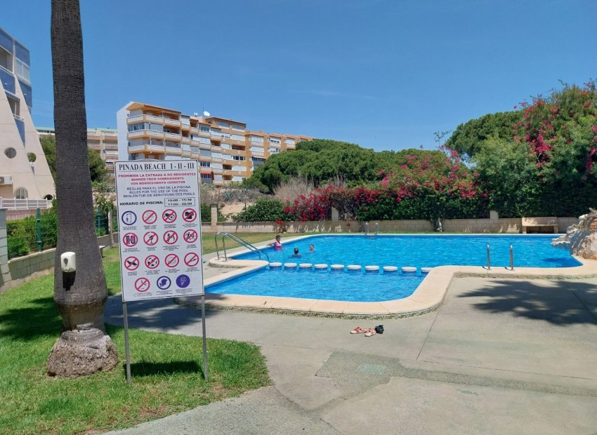 Venta - Apartamento / piso -
