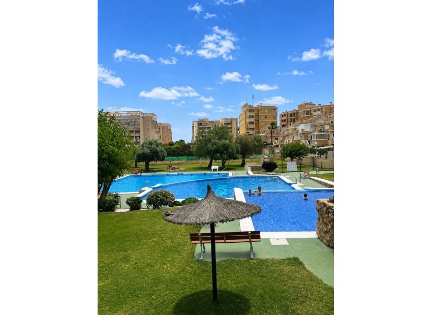Venta - Casa -
Torrevieja - Torreblanca
