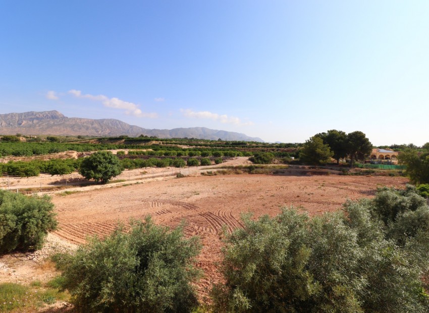 Venta - Finca -
Albatera - Albatera - Country