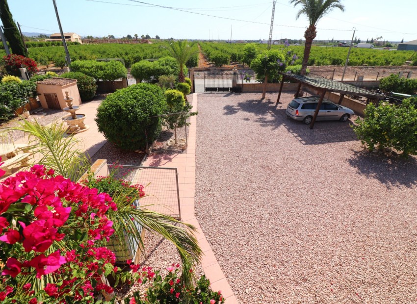 Venta - Finca -
Albatera - Albatera - Country