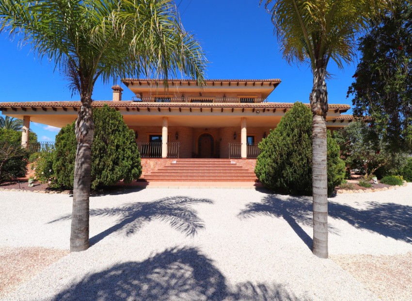 Venta - Finca -
Callosa de Segura - Callosa de Segura - Country