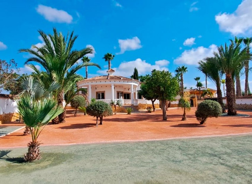 Venta - Finca -
Catral* - Catral - Country