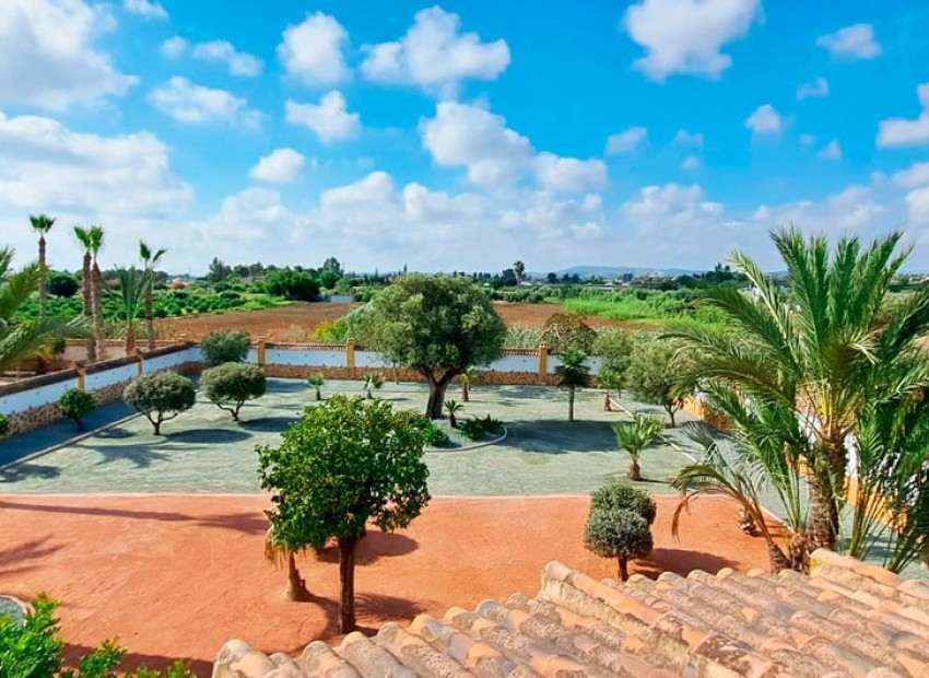 Venta - Finca -
Catral* - Catral - Country