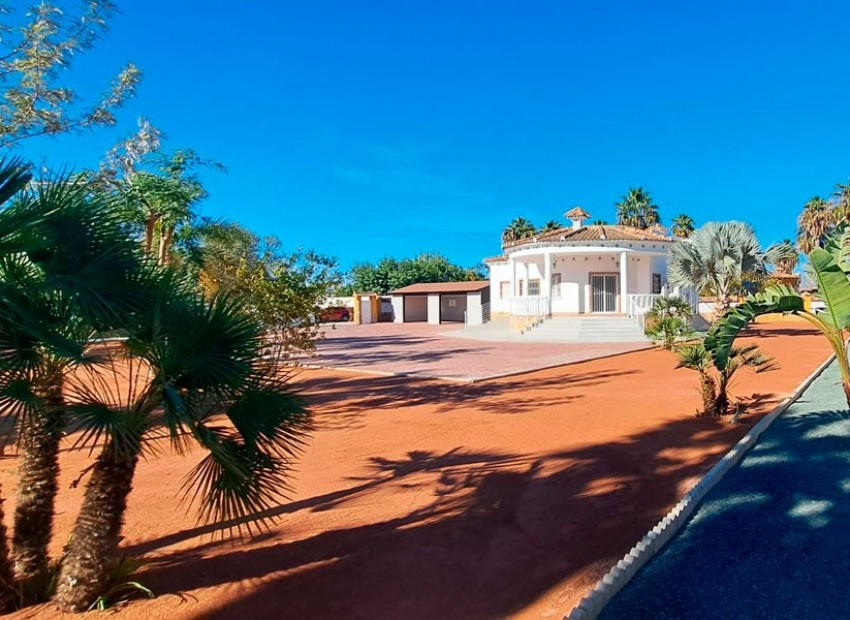 Venta - Finca -
Catral - Catral - Country