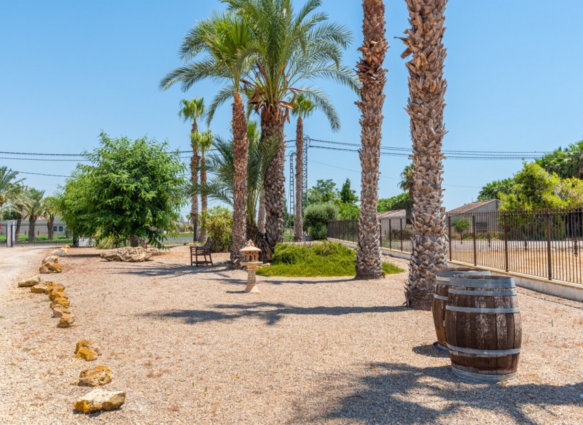 Venta - Finca -
Catral*