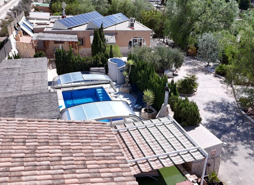 Venta - Finca Country Property -
Crevillente