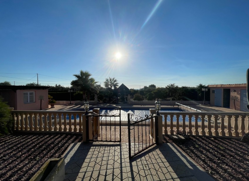 Venta - Finca -
Crevillente