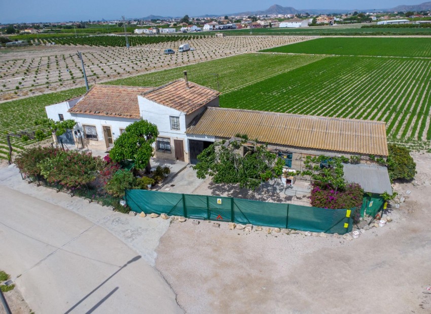 Venta - Finca -
Orihuela - Desamparados-Hurchillo-Torremendo