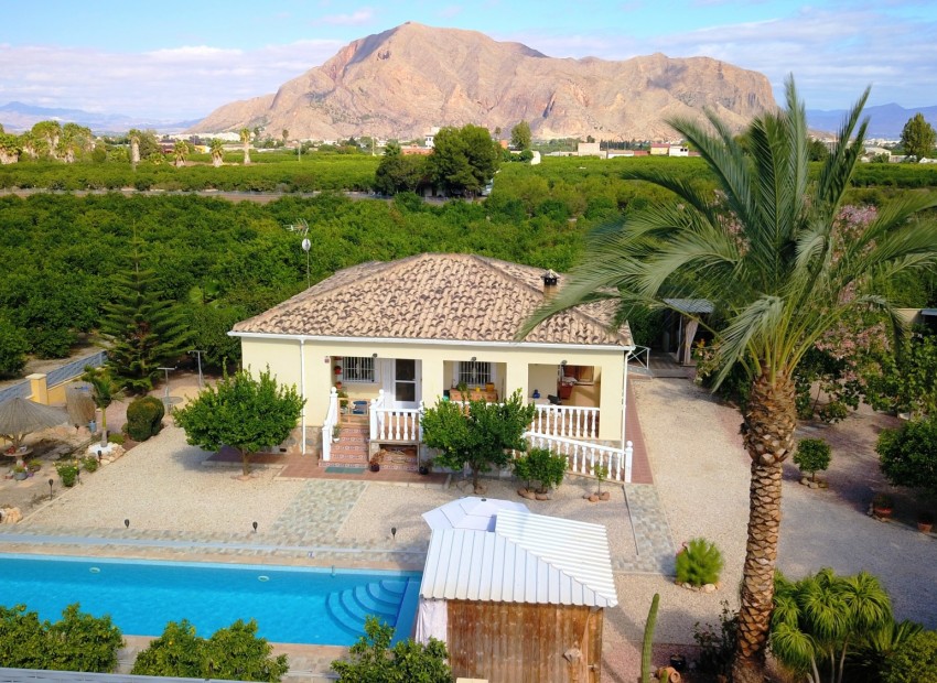 Venta - Finca -
Orihuela - La Campaneta
