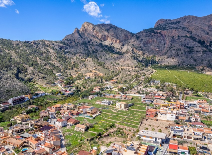 Venta - Finca -
Orihuela