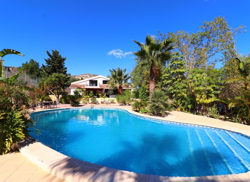 Venta - Finca -
