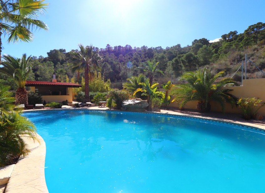 Venta - Finca -
