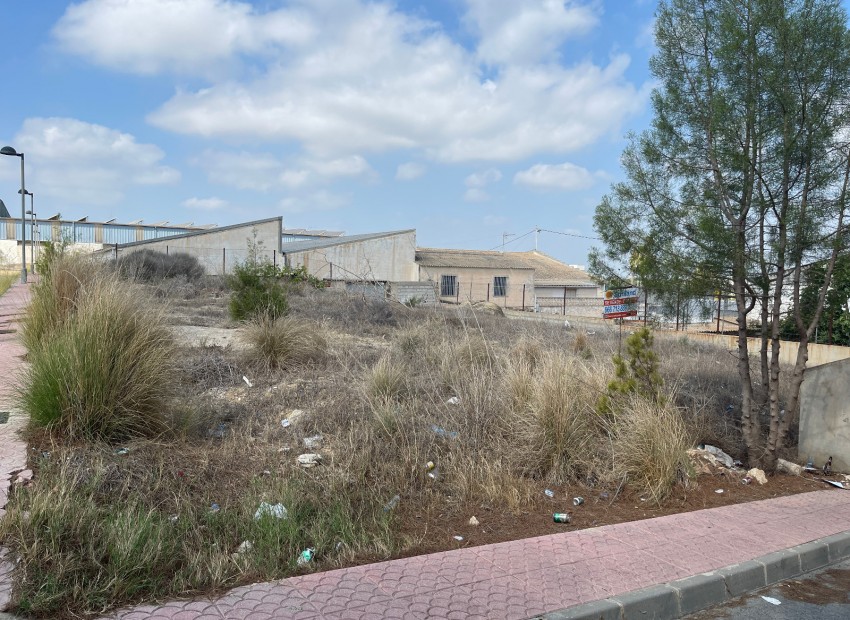 Venta - Plot -
