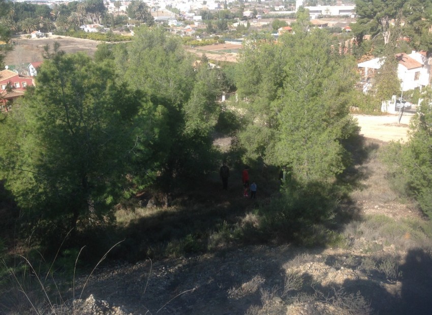 Venta - Plot -
