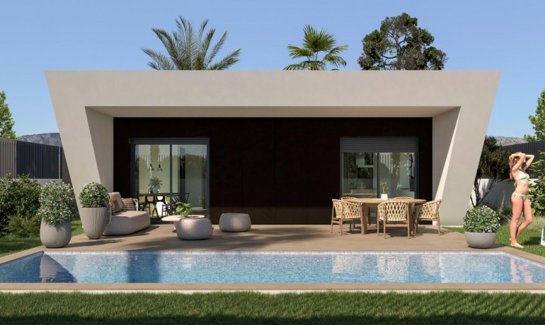 Villa - New Build - Montfort del Cid* -
                La Capitana