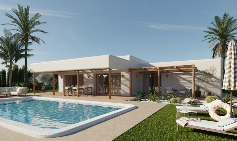 Villa - New Build - Pinoso* -
                Rodriguillo