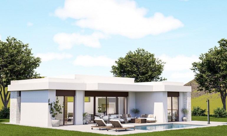 Villa - Nouvelle construction - Pinoso* -
                Lel