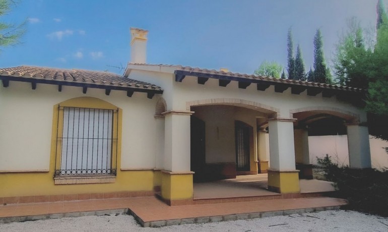 Villa - Nueva construcción  - Fuente Álamo -
                Las Palas