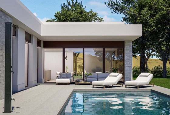 Villa - Nueva construcción  - Pinoso - Lel