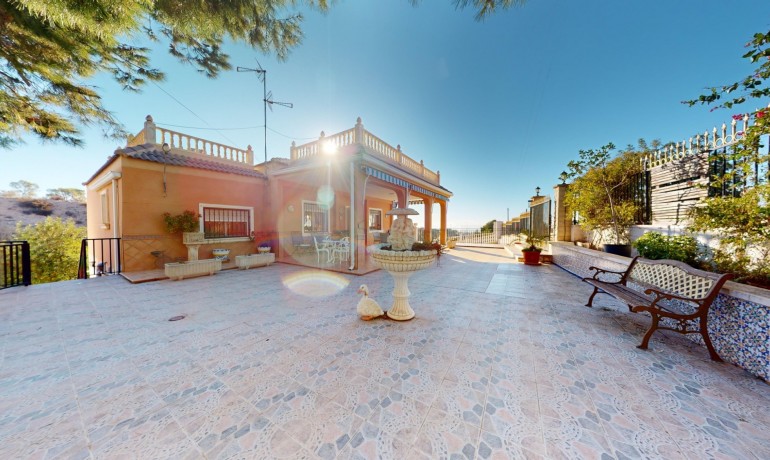 Villa - Revente - Crevillente -
                Crevillente