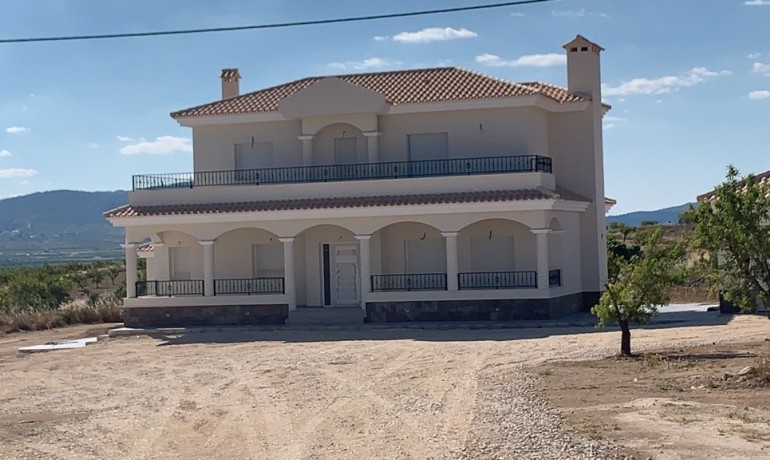 Villa - Revente - Pinoso -
                Pinoso