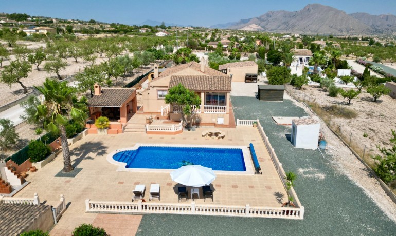 Villa - Sale - Hondon de los frailes -
                Hondon de los Frailes*