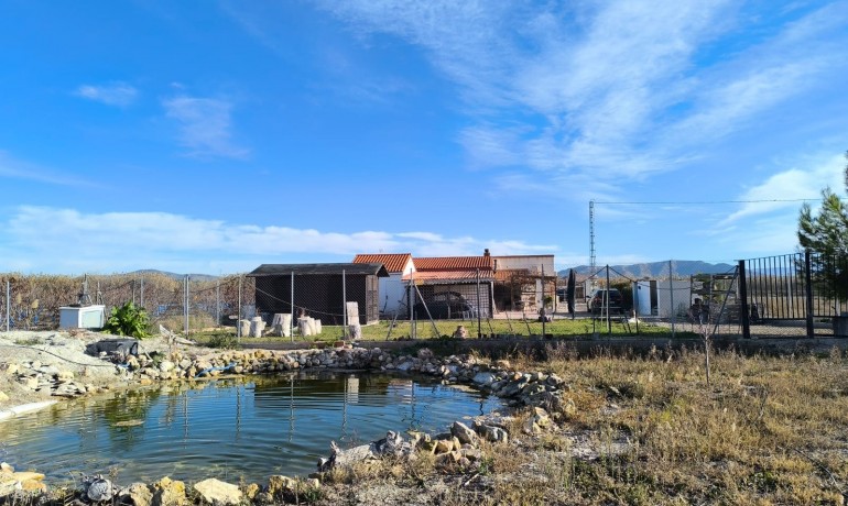 Villa - Sale - Villena -
                Rural location