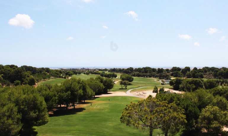 New Build - Apartment / Flat -
Pilar de la Horedada* - Lo Romero Golf*