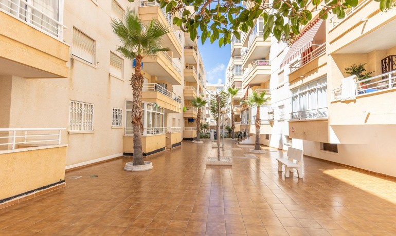 Revente - Appartement / Flat -
Torrevieja* - Playa de los Locos*