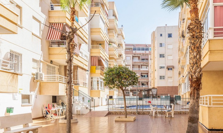 Revente - Appartement / Flat -
Torrevieja* - Playa de los Locos*