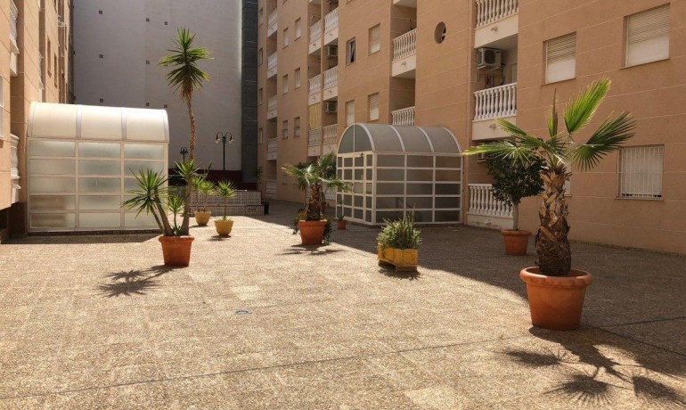 Herverkoop - Appartement / Flat -
Torrevieja* - Estacion de autobuses*