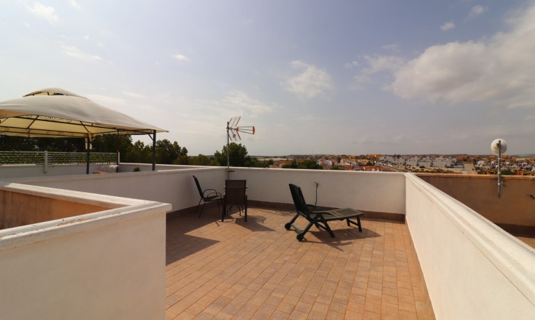 Sale - House -
Algorfa - Montemar