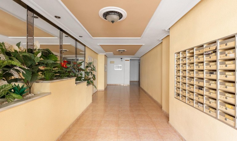 Herverkoop - Appartement / Flat -
Torrevieja* - torrevieja