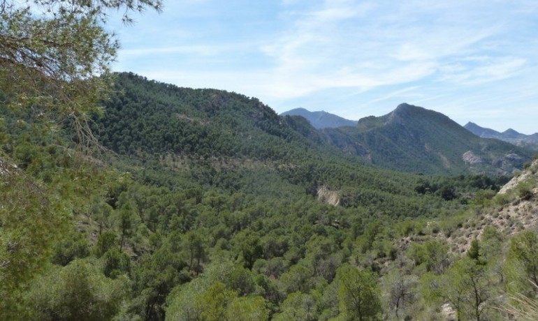 Revente - Villa -
Murcia*