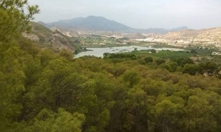 Revente - Villa -
Murcia*