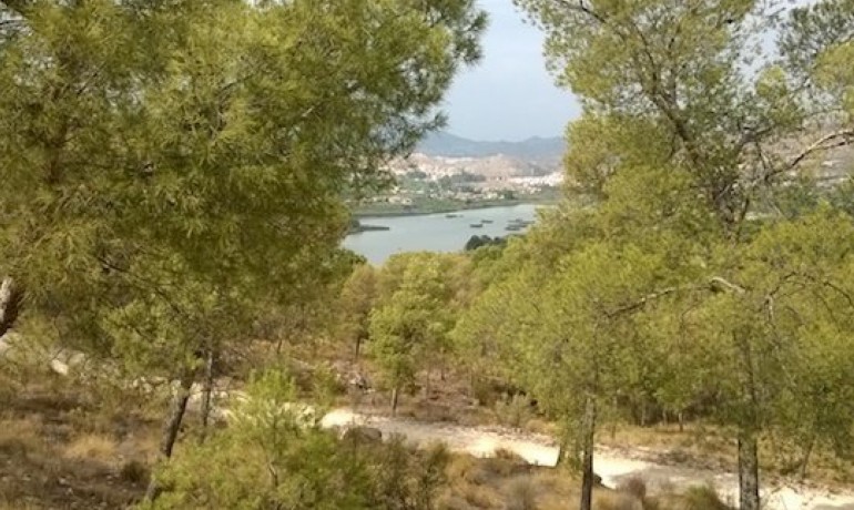 Revente - Villa -
Murcia*