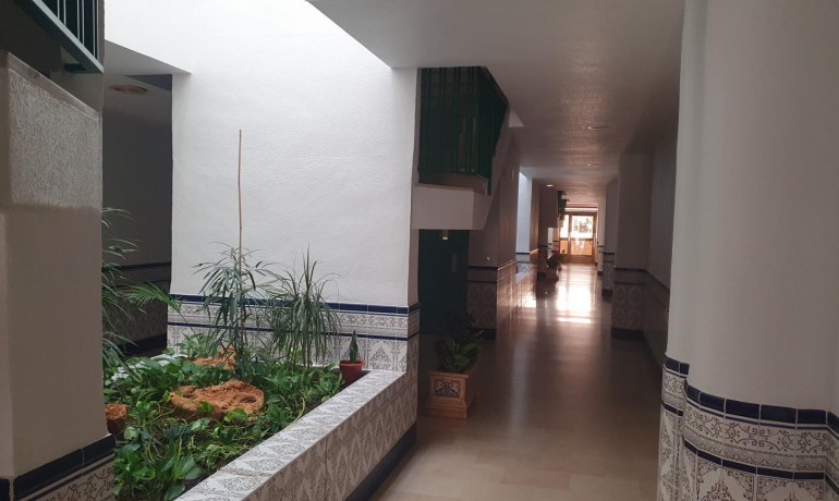 Sale - Apartment / Flat -
Guardamar del Segura - Los secanos