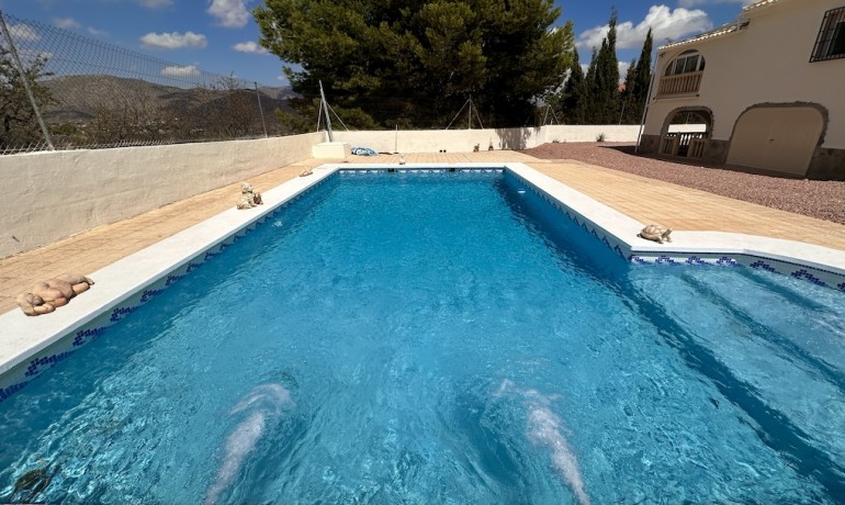 Sale - Villa -
Alicante* - Hondon de los Frailes*