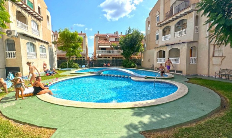 Herverkoop - Appartement / Flat -
Torrevieja* - Parque Los Naciones*