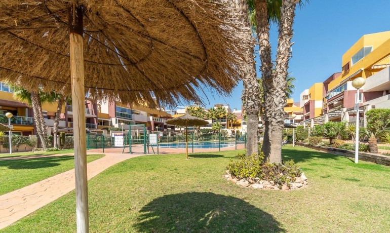 Herverkoop - Appartement / Flat -
Orihuela Costa* - Playa Flamenca*