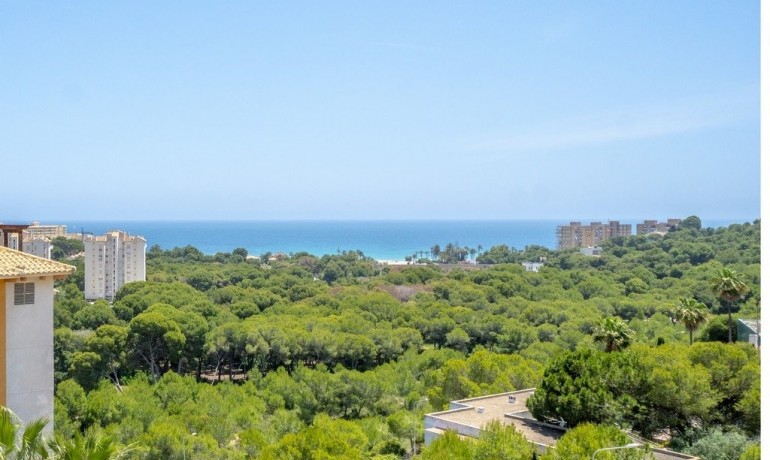 Herverkoop - Appartement / Flat -
Orihuela Costa - Campoamor