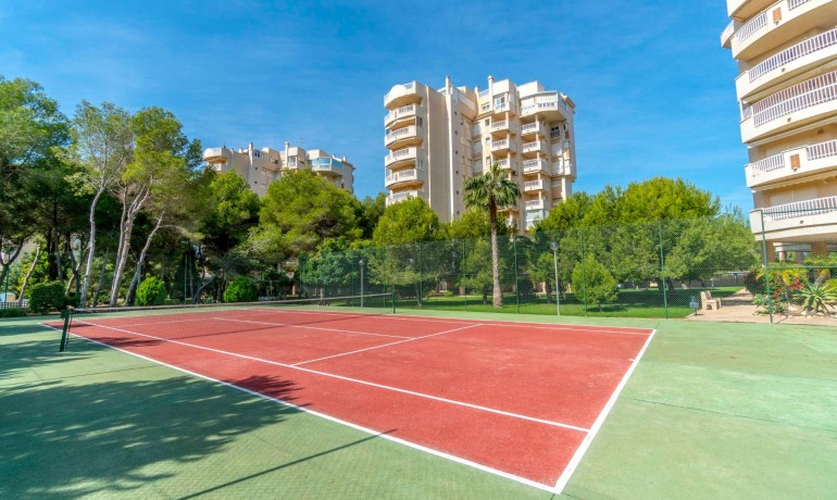 Herverkoop - Appartement / Flat -
Orihuela Costa - Campoamor