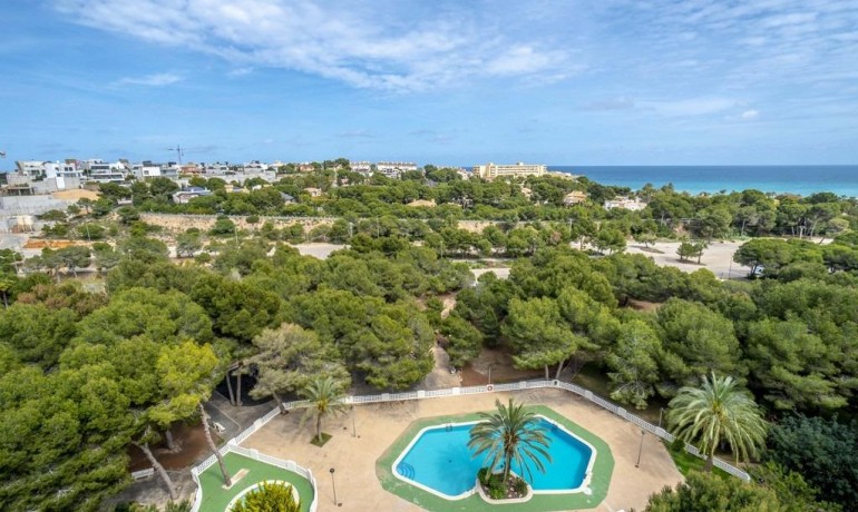 Revente - Appartement / Flat -
Orihuela Costa - Campoamor