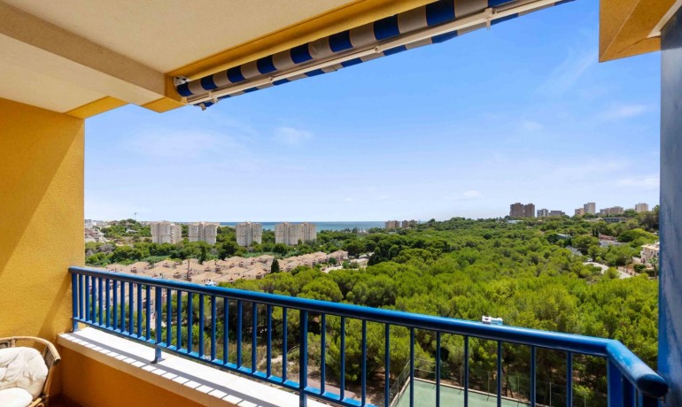 Revente - Appartement / Flat -
Orihuela Costa* - Campoamor