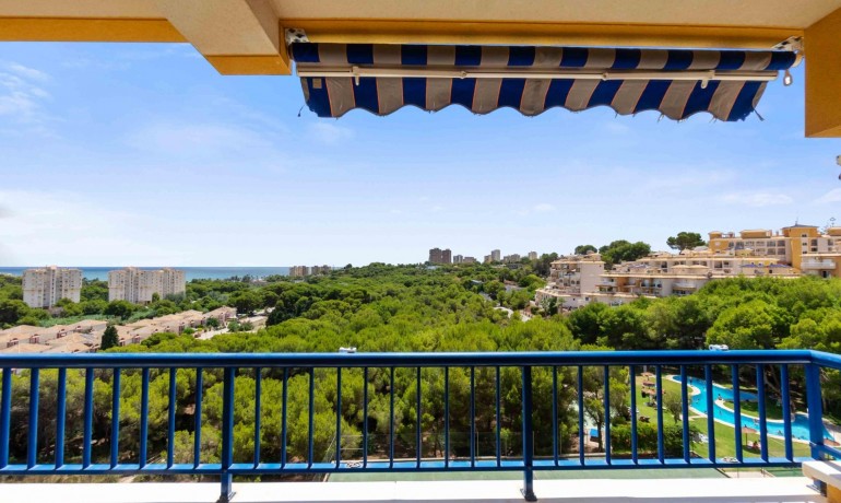 Herverkoop - Appartement / Flat -
Orihuela Costa - Campoamor