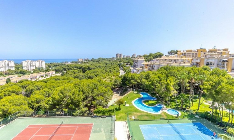 Sale - Apartment / Flat -
Orihuela Costa* - Campoamor