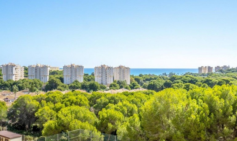 Sale - Apartment / Flat -
Orihuela Costa - Campoamor