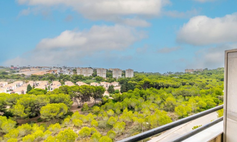 Sale - Apartment / Flat -
Orihuela Costa - Campoamor