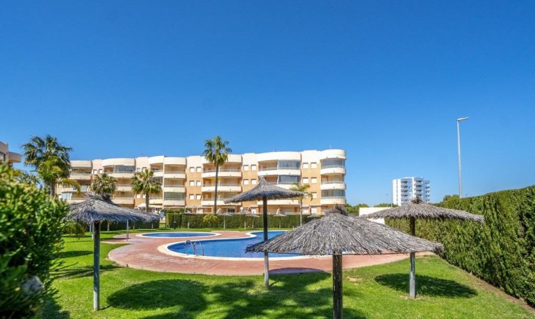 Revente - Appartement / Flat -
Orihuela Costa - Campoamor